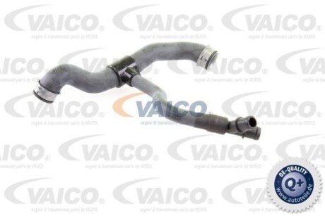 Шланг гумовий сист. охолоджен. - VAICO V302231