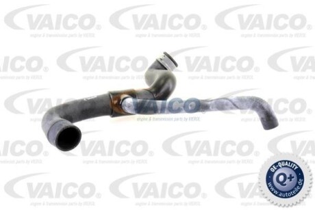 Шланг гумовий сист. охолоджен. - VAICO V302232