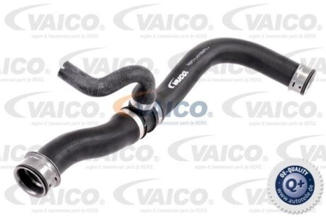 Шланг гумовий сист. охолоджен. - VAICO V302906