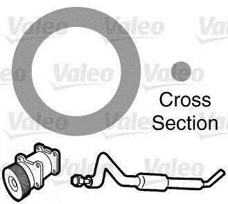 Ущільнення, трубопровід подачі охолоджувальної рідини - ((92472N8210)) Valeo 509300