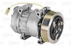 Компресор кондиціонера - ((85003041, 85000315, 8191892, 8119628, 8113628)) Valeo 813033 (фото 1)