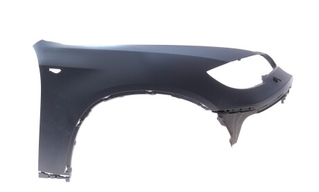 Крило (переднє/L) BMW X6 (E71) 08-14(після пробного встановлення) - Van Wezel DSC_51652147591