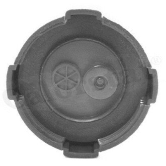 Фото 2 - Расширительный бачок Vernet RC0001