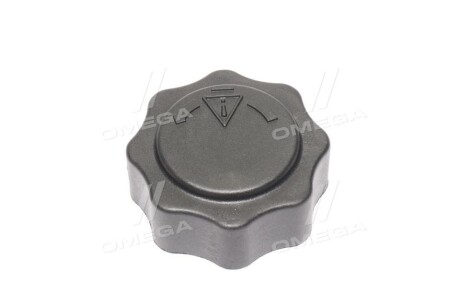 Фото 3 - Расширительный бачок Vernet RC0010