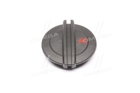 Фото 2 - Расширительный бачок Vernet RC0162