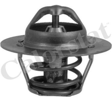 Фото 2 - Термостат системы охлаждения Vernet TH6318.89J (TH631889J)