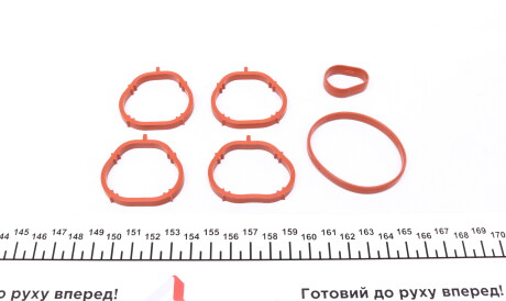 Фото 2 - Прокладка VICTOR REINZ 11-35626-01 (113562601)