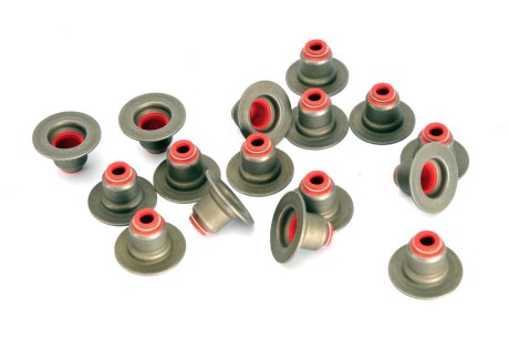 Фото 2 - Сальники клапанів VICTOR REINZ 12-34439-01 (123443901)