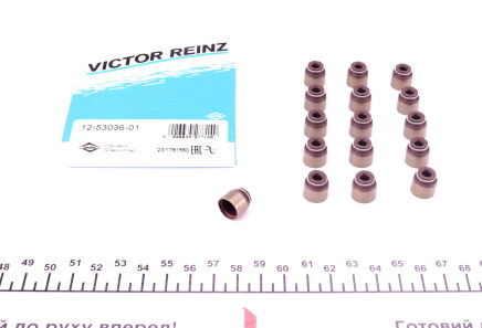 Фото 2 - Сальники клапанов VICTOR REINZ 12-53036-01 (125303601)