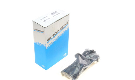 Комплект болтов ГБЦ - VICTOR REINZ 14-10026-01