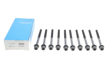 Фото 2 - Болти головки блоку циліндрів VICTOR REINZ 141088302