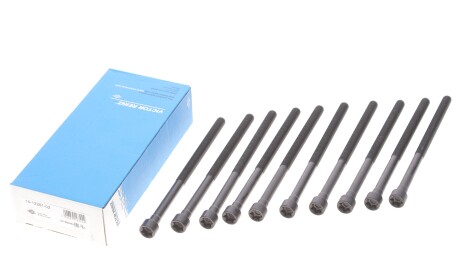 Фото 2 - Болты головки блока цилиндров VICTOR REINZ 14-12261-02 (141226102)