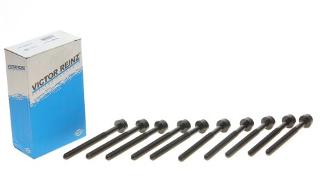 Комплект болтів гбц REINZ - VICTOR REINZ 14-19664-01
