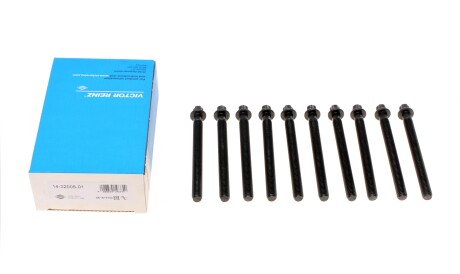 Фото 2 - Болти головки блоку циліндрів VICTOR REINZ 14-32005-01 (143200501)