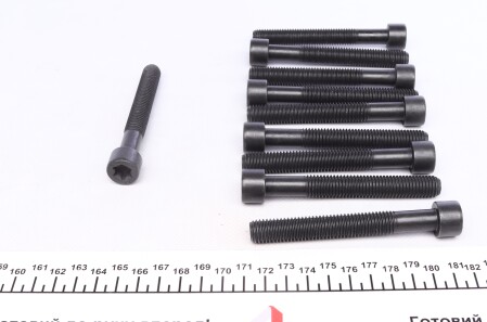 Фото 2 - Болты головки блока цилиндров VICTOR REINZ 14-32015-01 (143201501)