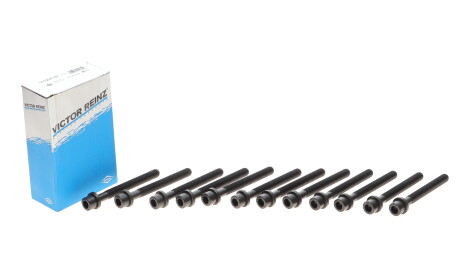 Фото 2 - Болты головки блока цилиндров VICTOR REINZ 14-32047-02 (143204702)