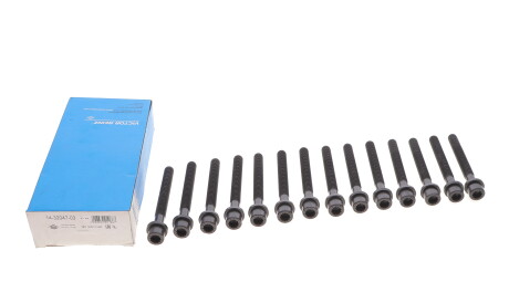 Фото 2 - Болти головки блоку циліндрів VICTOR REINZ 143204703