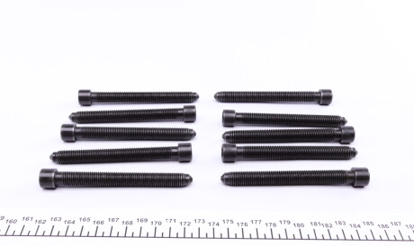 Фото 2 - Болты головки блока цилиндров VICTOR REINZ 14-32052-01 (143205201)