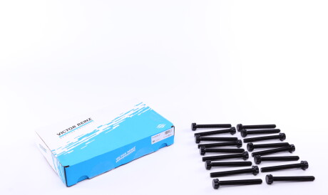 Фото 2 - Болты головки блока цилиндров VICTOR REINZ 143206301