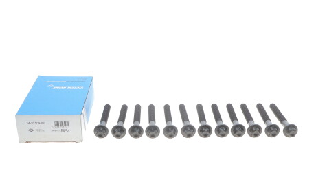 Фото 2 - Болты головки блока цилиндров VICTOR REINZ 14-32109-02 (143210902)