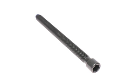 Фото 2 - Болты головки блока цилиндров VICTOR REINZ 14-32125-02 (143212502)