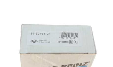 Фото 3 - Болты головки блока цилиндров VICTOR REINZ 14-32161-01 (143216101)