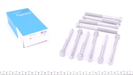 Фото 2 - Болты головки блока цилиндров VICTOR REINZ 14-32178-01 (143217801)