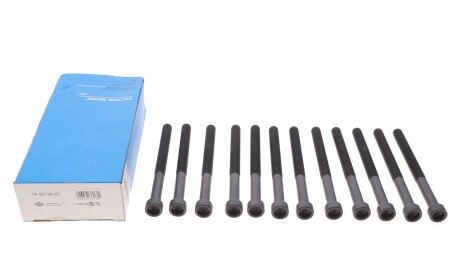 Фото 2 - Болти головки блоку циліндрів VICTOR REINZ 14-32190-01 (143219001)