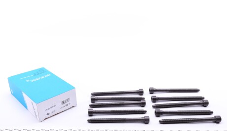 Фото 2 - Болти головки блоку циліндрів VICTOR REINZ 14-32197-01 (143219701)