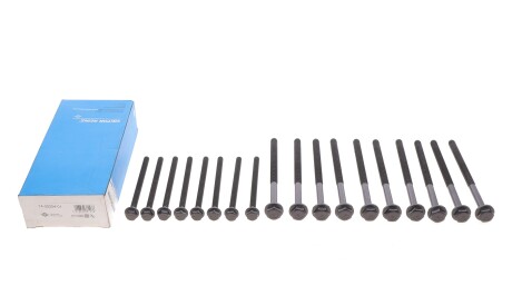 Фото 2 - Болты головки блока цилиндров VICTOR REINZ 14-32204-01 (143220401)