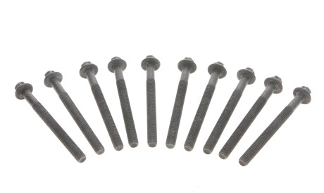 Фото 3 - Болты головки блока цилиндров VICTOR REINZ 14-32231-01 (143223101)