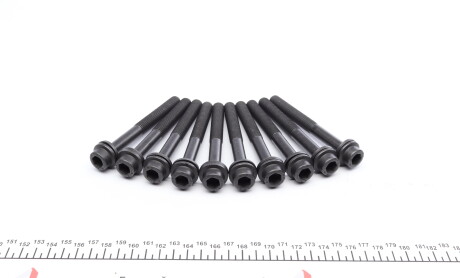 Фото 6 - Болты головки блока цилиндров VICTOR REINZ 14-32290-01 (143229001)