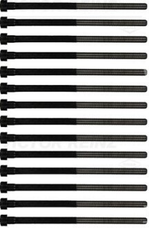 Фото 2 - Болти головки блоку циліндрів VICTOR REINZ 14-32306-01 (143230601)