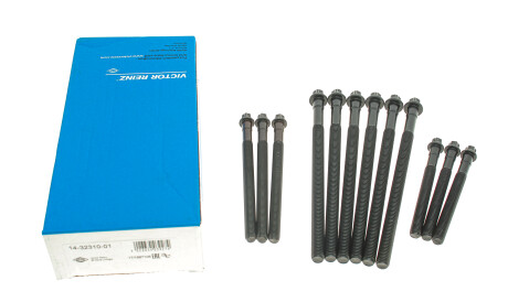 Фото 2 - Болти головки блоку циліндрів VICTOR REINZ 14-32310-01 (143231001)