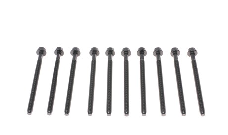 Фото 3 - Болты головки блока цилиндров VICTOR REINZ 14-32358-01 (143235801)