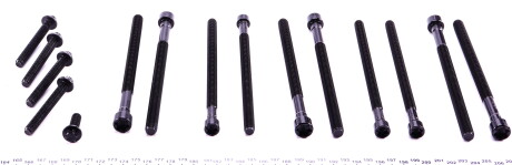 Фото 2 - Болты головки блока цилиндров VICTOR REINZ 14-32359-01 (143235901)