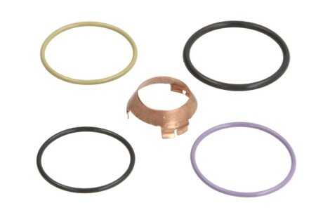 Комплект ущільнень, інжекторна форсунка - VICTOR REINZ 154078801