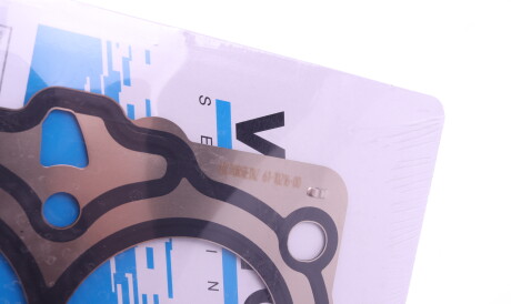 Фото 3 - Прокладка ГБК блока циліндрів VICTOR REINZ 61-10216-00 (611021600)