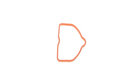 Фото 3 - Прокладка впускного колектора VICTOR REINZ 711082400