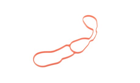 Фото 3 - Прокладка впускного колектора VICTOR REINZ 71-12156-00 (711215600)