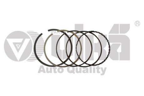 Piston rings - Vika 11070016101