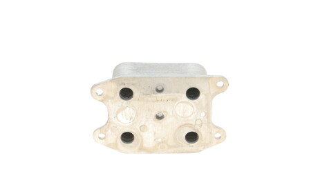 Фото 2 - Масляный радиатор Vika 11171554301