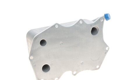 Фото 2 - Масляный радиатор Vika 11171698801