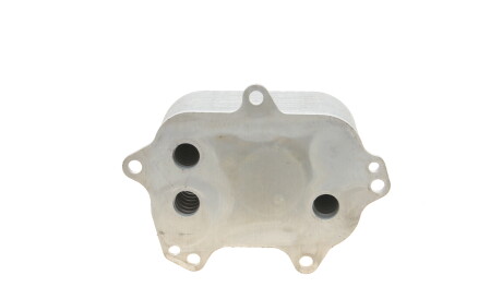 Фото 2 - Масляний радіатор Vika 11171701101