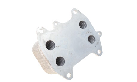 Фото 3 - Масляный радиатор Vika 11171701301