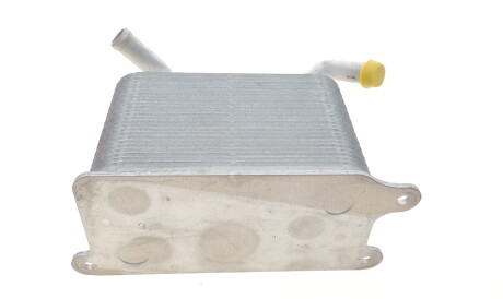 Фото 2 - Масляный радиатор Vika 13171597101