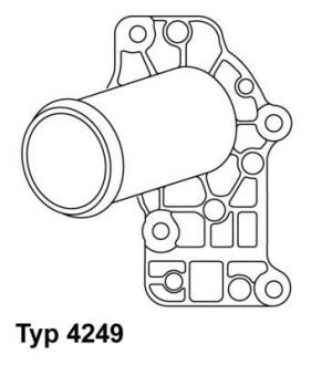 Термостат - WAHLER 4249.71D