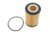 Фільтр масляний Audi A4/A5/A6/A7/Q7 3.0 TFSI 08-18 FILTERS - (06E115466B, 06E115562B, 06E115562E) WIX WL7589 (фото 1)