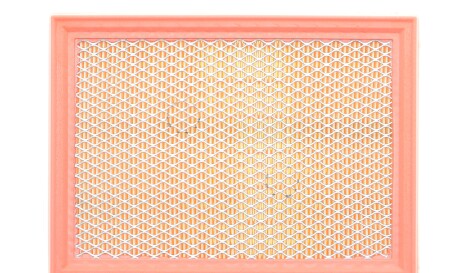 Фото 3 - Повітряний фільтр WIX WA6339