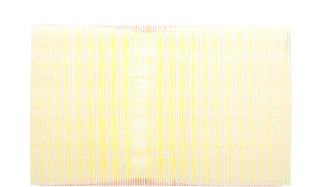 Фото 3 - Воздушный фильтр WIX WA9516